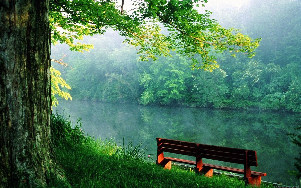 alone-bench-nature-wallpaper-peace-of-mind